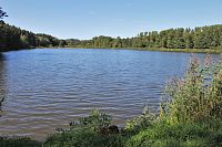 Lanškrounské rybníky - přírodní rezervace
