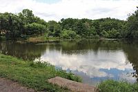 Dolní rudoltický rybník