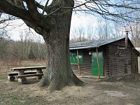 Pata stromu s odpočivadlem a bývalou osvěžovnou