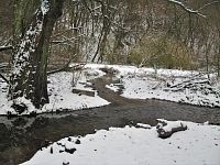 Soutok Ponávky a Jehnického potoka v zimě