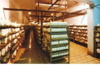 Jeskyně Michálka - místnost pro zrání sýrů, snímek je z roku 1999