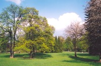 Park Lužánky