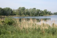 Novoveský rybník