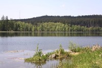 Velký pařezitý rybník - přírodní rezervace