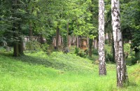 Slavkov - židovský hřbitov, pohled od vchodu