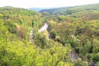 Pohled údolím Jihlavy ke Stříbskému mlýnu