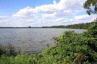 Pohled z hráze na Zámecký rybník