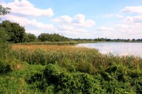 Horní Jaroslavický rybník