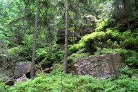 Zaječí skok - přírodní rezervace
