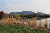 Pohled od rybníka na hřeben Pálavy