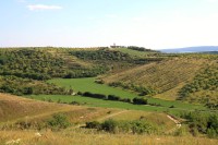 Pohled z Kamence na Hustopečský starý vrch s rozhlednou