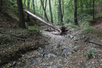 Údolí Kohoutovického potoka - přírodní památka