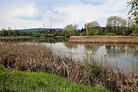 Pohled na vodní tůň z turistické cesty