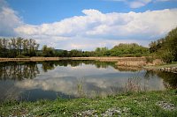 Pohled na vodní tůň z turistické cesty