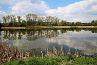 Pohled na vodní tůň z turistické cesty