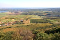 Pavlovské vinohrady