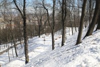 Pohled na zasněžený špilberský park