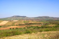 Pohled z Růžové hory na hřeben Pavlovských vrchů