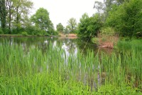 Holásecká jezera - přírodní památka