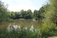 Přísnotice - rybník Lhéta