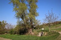 Okolí studánky