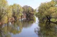 Řeka Svratka v Brně-Komárově