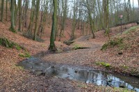 Augšperský potok - přírodní památka