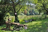 Rybník v údolí Ponávky u Vránova mlýna