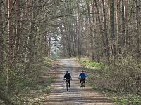 Cyklisté na Soběšické cestě