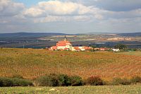 Zaječské vinohrady ve svahu Přítlucké hory s dominantou kostela sv. Jana Křtitele
