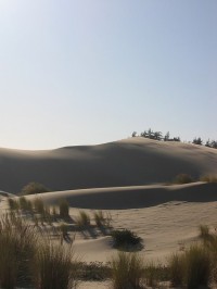 Oregonske duny