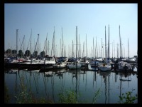 Marken