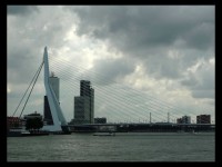 Rotterdam Erasmusbrug