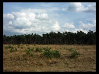 Nationaal Park de Hoge Veluwe