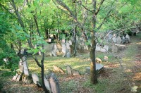 Židovský hřbitov v Mikulově