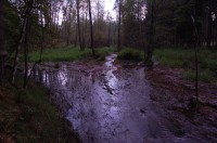 Pohořský potok mezi Radčicemi a Meziříčím