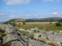 Hlavní hřeben (Břidličná, Jelení Hřbet, Velký Máj, Vysoká Hole, Praděd)