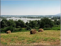 "jezero" Bodrog Tisza
