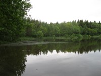 Sobenský rybník