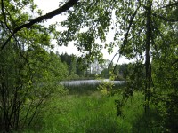 Rybník Boukal