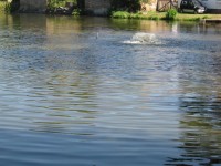 Rybník ve Veselíčku s vodotryskem