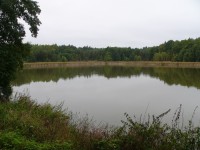 Rybník Brloh