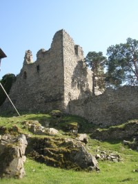 Zdi zřícenina hradu
