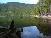 Výtet kolem šumavských jezer - Černé a Čertovo