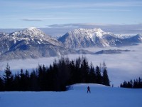 Přijet do Rakouska, vidět Alpy a zemřít