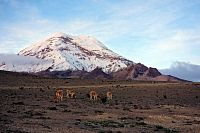 Chimborazo