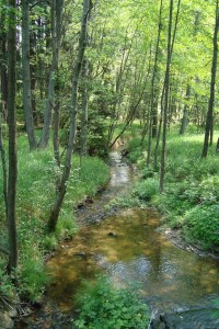 Huťský potok - přírodní památka