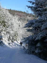 Cesta na Ostrý II