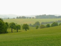 Okolí Rozseče - louky směrem k Crhovu 