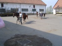 Jezdecký areál Svinčice